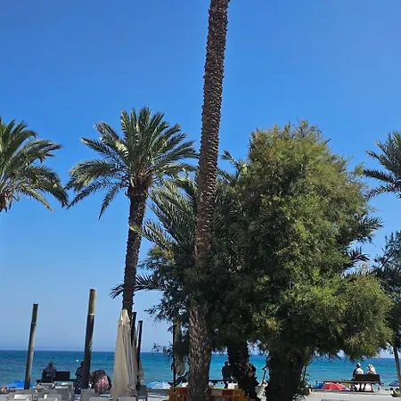 Belen Almudena Torrevieja